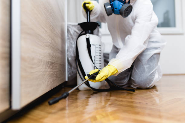 Best Emergency Pest Control  in Nokomis, FL