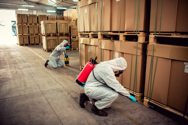 Best Best Pest Control Companies  in Nokomis, FL