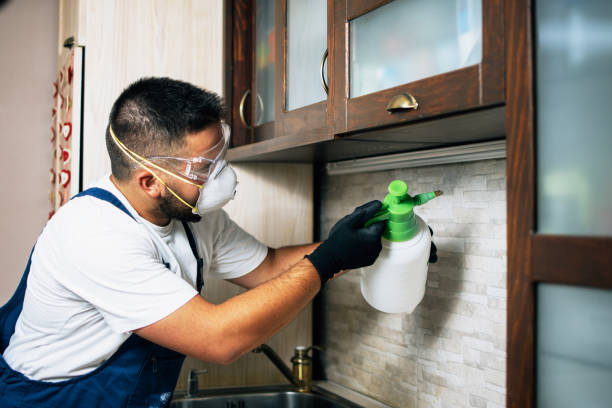 Best Termite Control Services  in Nokomis, FL