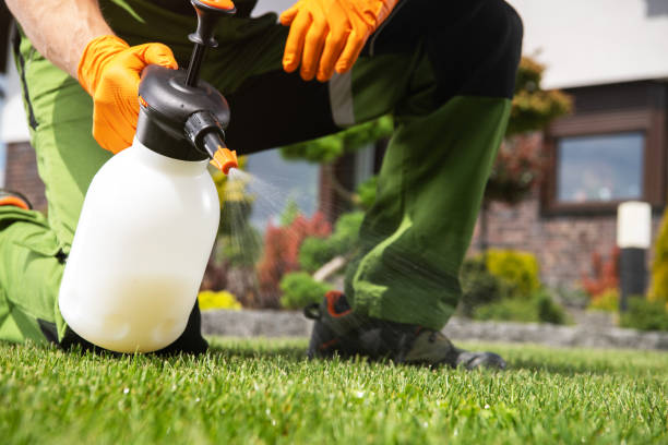Best Best Pest Control Companies  in Nokomis, FL