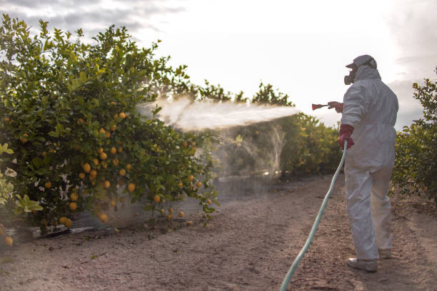 Best Cockroach Control Services  in Nokomis, FL