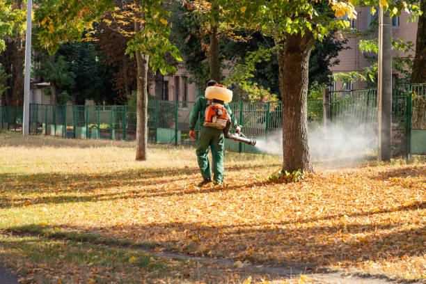 Best Pest Removal Services  in Nokomis, FL