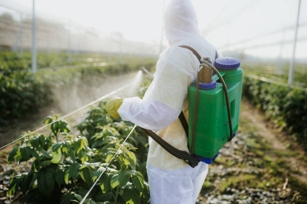 Best Pest Control for Businesses  in Nokomis, FL